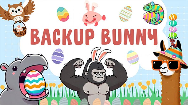 Backup Bunny